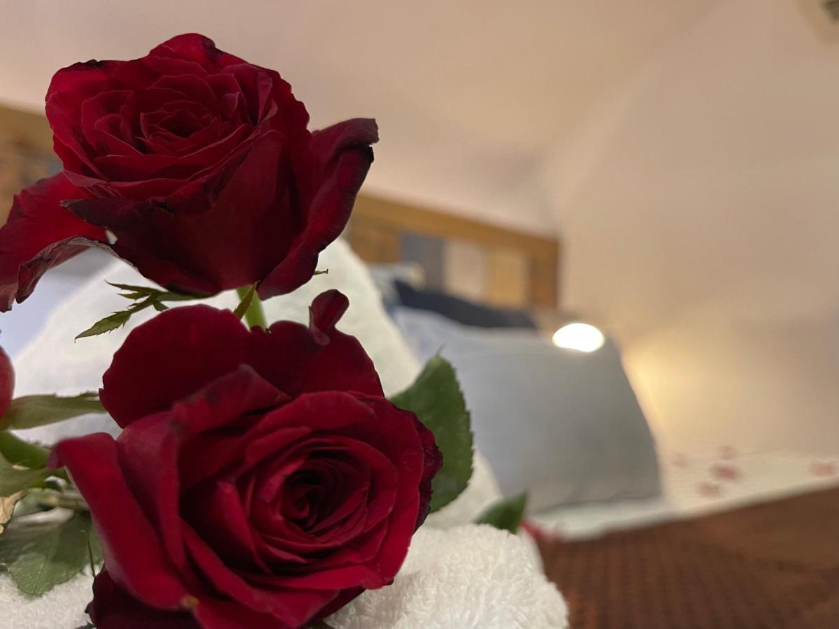 Clockworkorange Luxury Suites Lapu-Lapu City Bagian luar foto